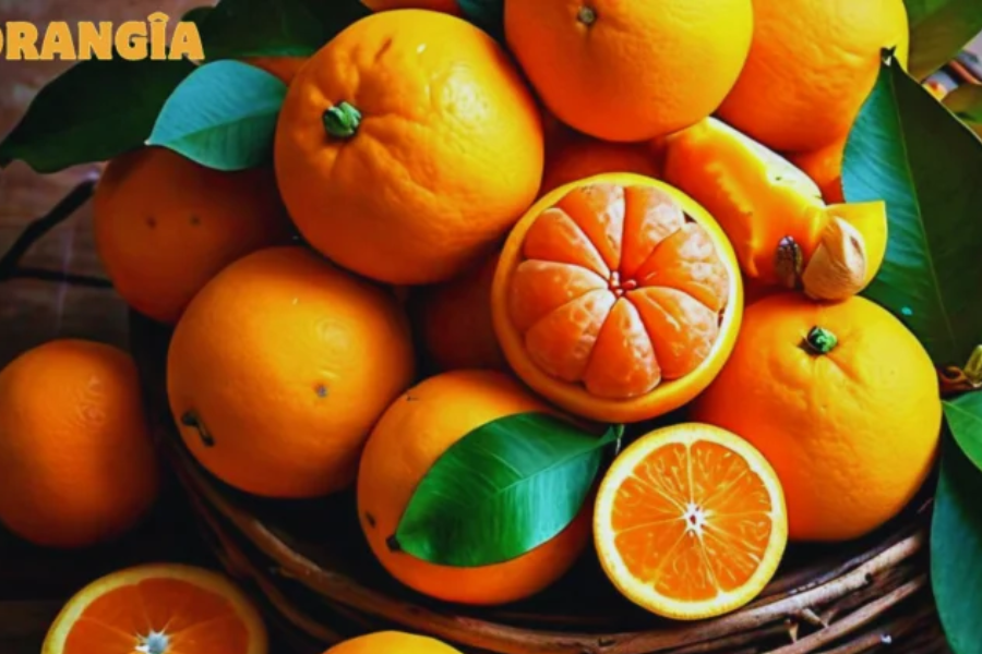 Orangîa: A Journey into the Mythical World of the Legendary Fruit